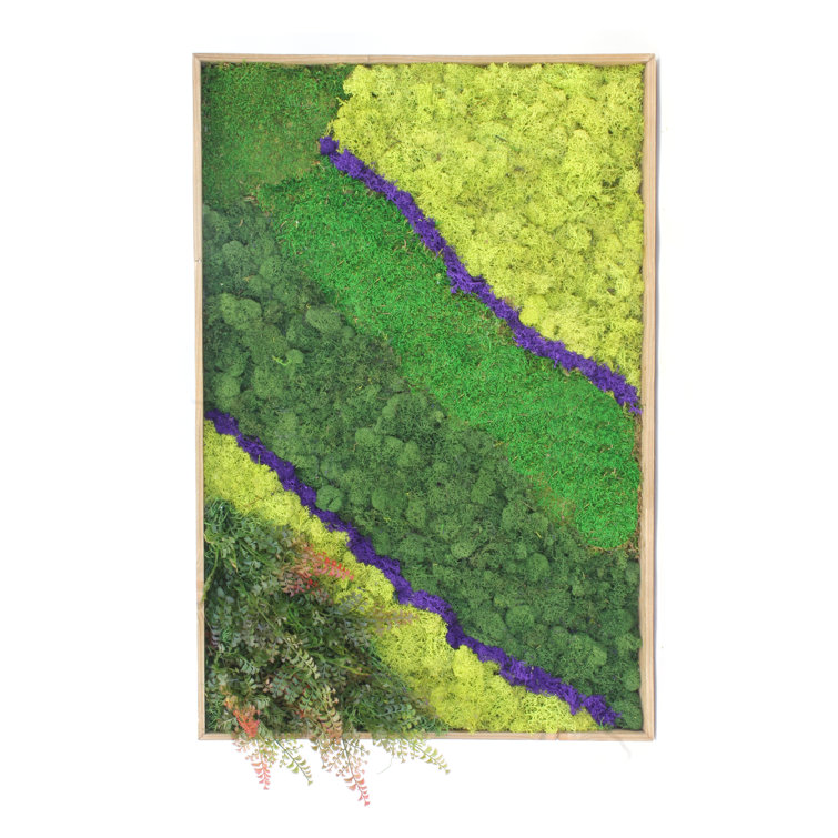 Dalmarko Designs Wall Art Hanging Moss Wayfair.ca